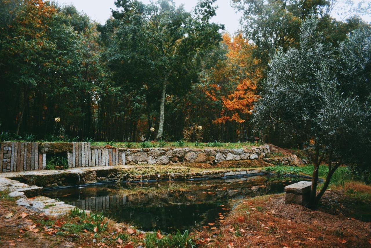Quinta Das Fontes - Alojamento Rustico Local E Turismo Rural São Pedro do Sul Dış mekan fotoğraf