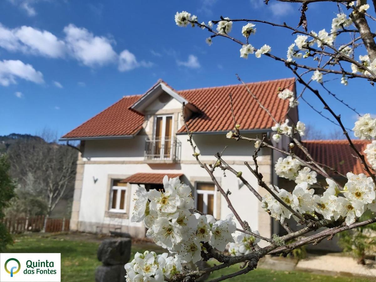 Quinta Das Fontes - Alojamento Rustico Local E Turismo Rural São Pedro do Sul Dış mekan fotoğraf