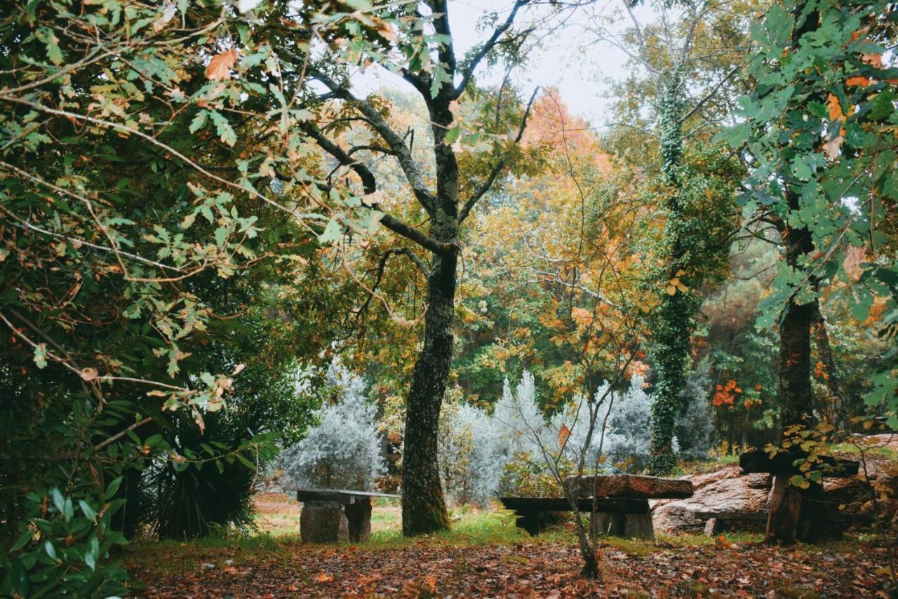 Quinta Das Fontes - Alojamento Rustico Local E Turismo Rural São Pedro do Sul Dış mekan fotoğraf