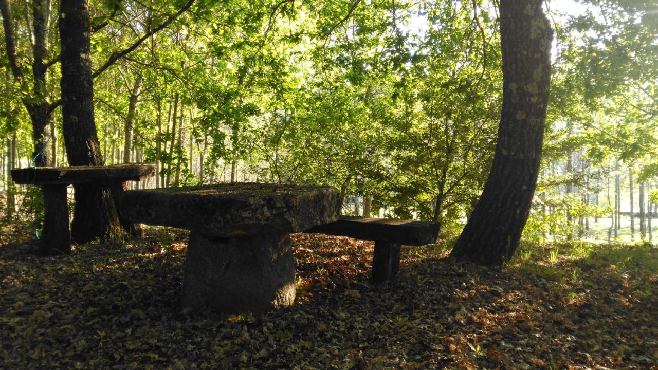 Quinta Das Fontes - Alojamento Rustico Local E Turismo Rural São Pedro do Sul Dış mekan fotoğraf