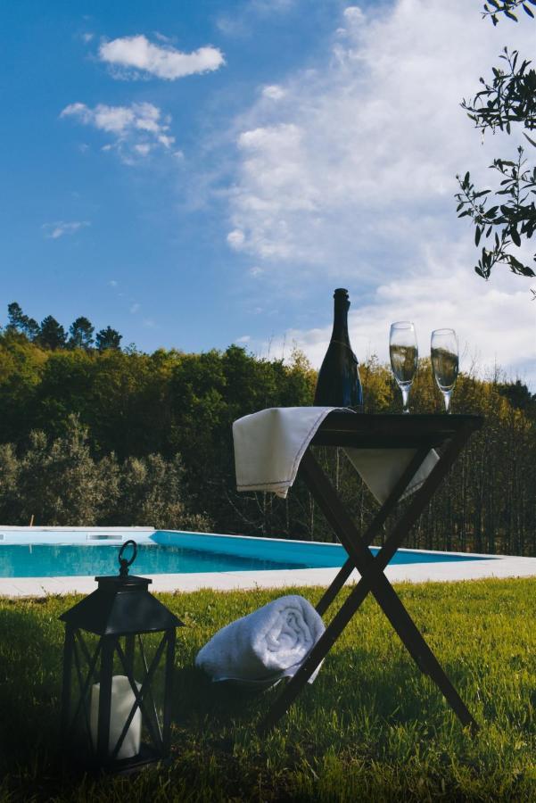 Quinta Das Fontes - Alojamento Rustico Local E Turismo Rural São Pedro do Sul Dış mekan fotoğraf