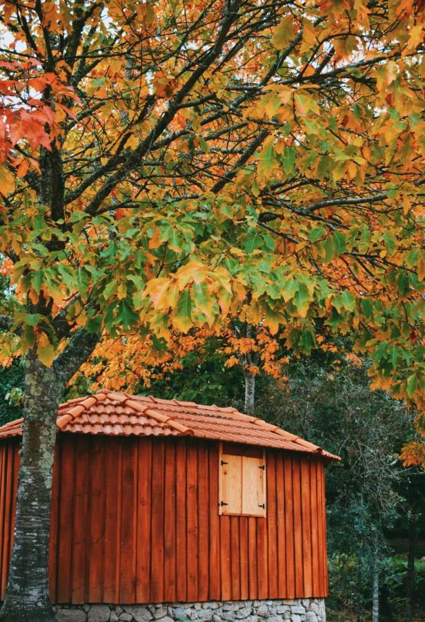 Quinta Das Fontes - Alojamento Rustico Local E Turismo Rural São Pedro do Sul Dış mekan fotoğraf