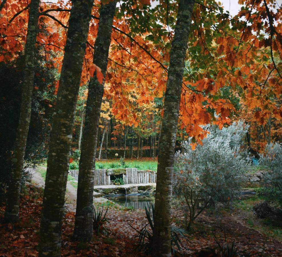 Quinta Das Fontes - Alojamento Rustico Local E Turismo Rural São Pedro do Sul Dış mekan fotoğraf