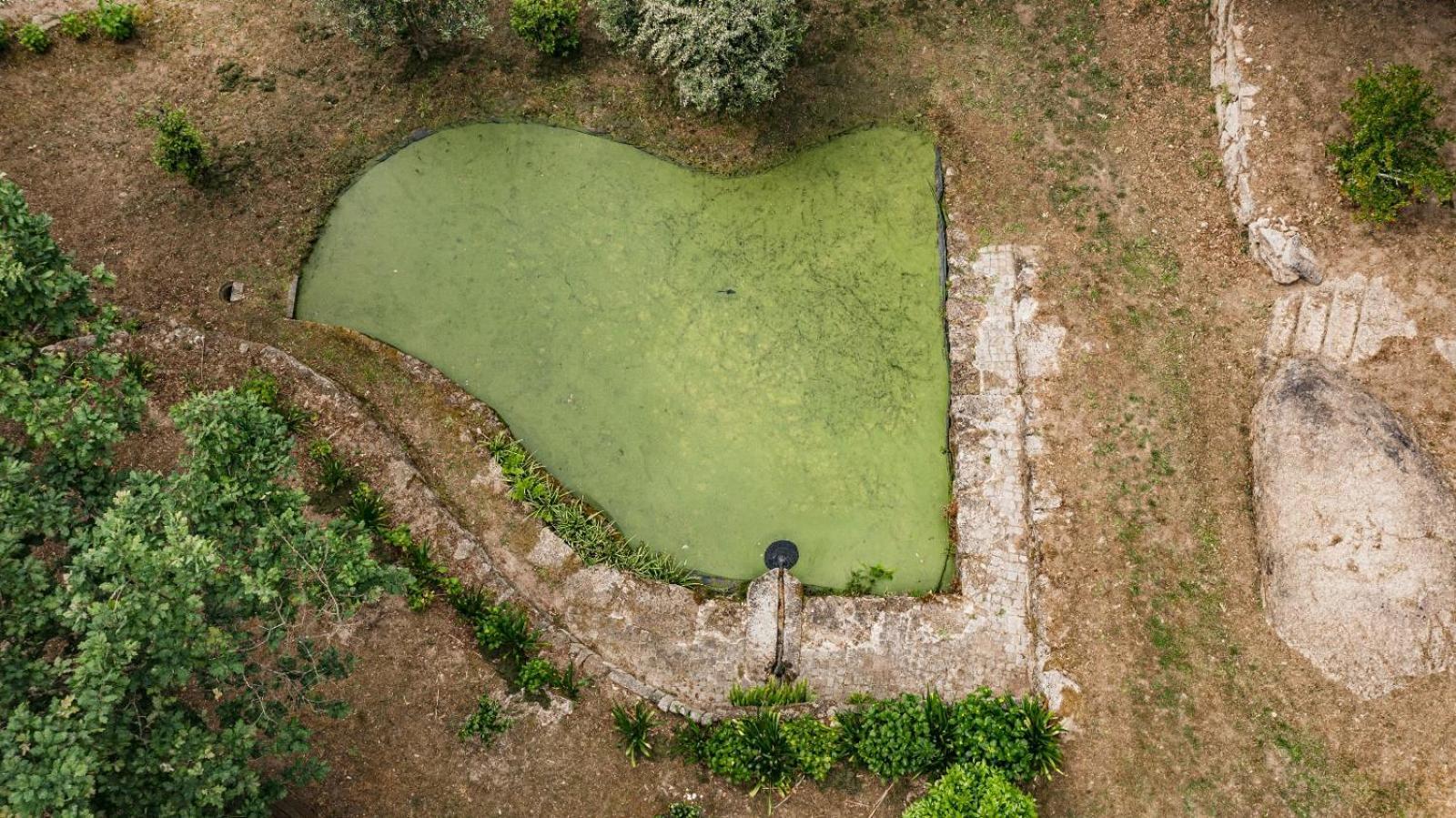 Quinta Das Fontes - Alojamento Rustico Local E Turismo Rural São Pedro do Sul Dış mekan fotoğraf