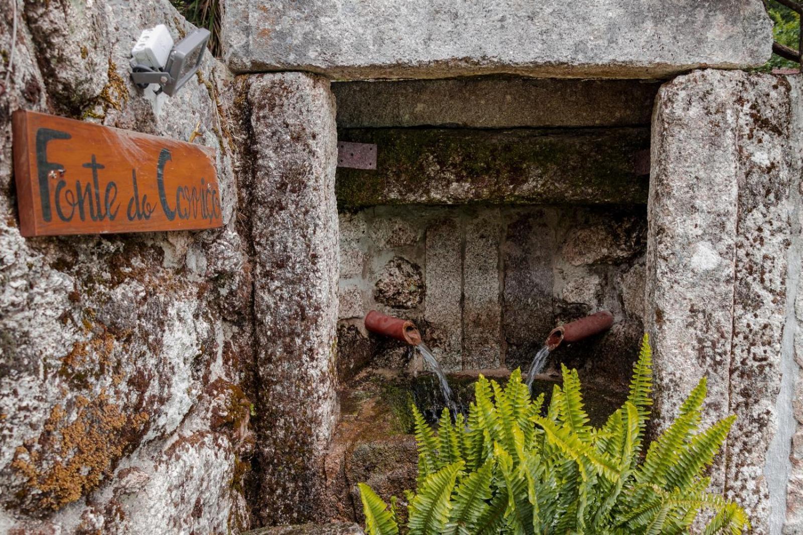 Quinta Das Fontes - Alojamento Rustico Local E Turismo Rural São Pedro do Sul Dış mekan fotoğraf