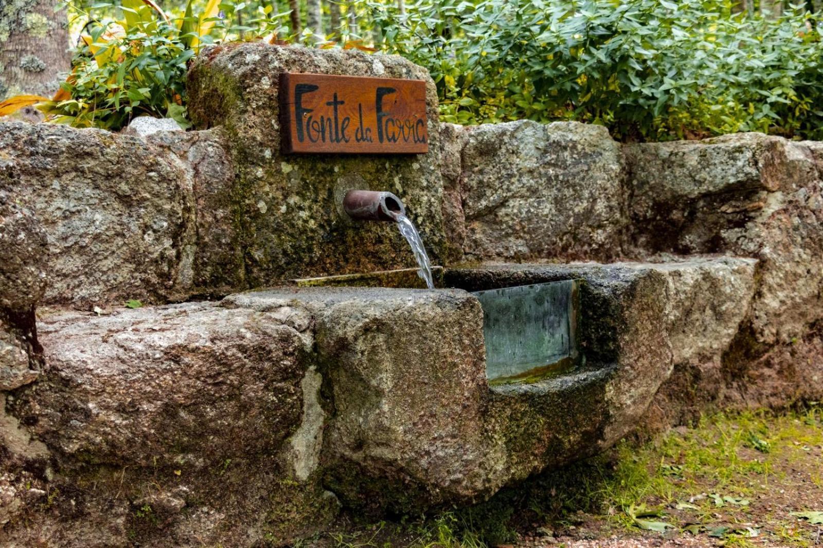 Quinta Das Fontes - Alojamento Rustico Local E Turismo Rural São Pedro do Sul Dış mekan fotoğraf